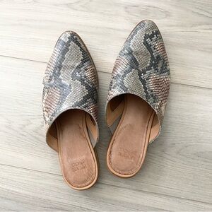 Frye & Co Fenn Snake Print Mule Size 6